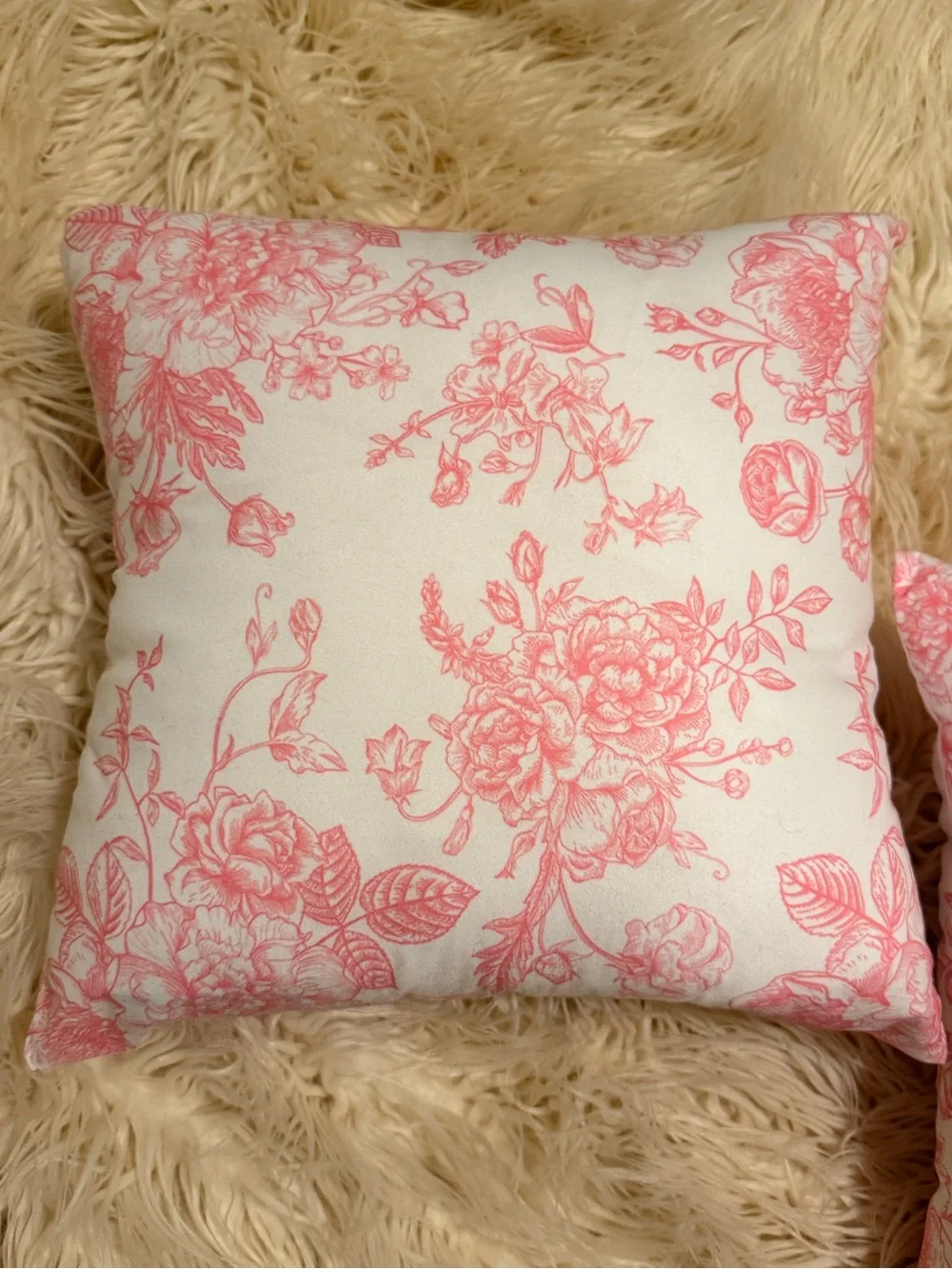 Set of 2 decorative throw pillows